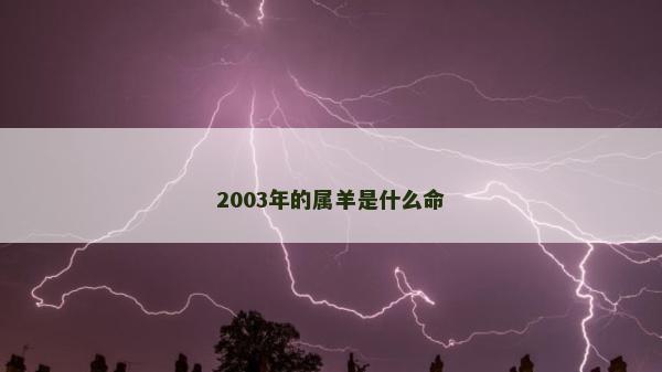 2003年的属羊是什么命