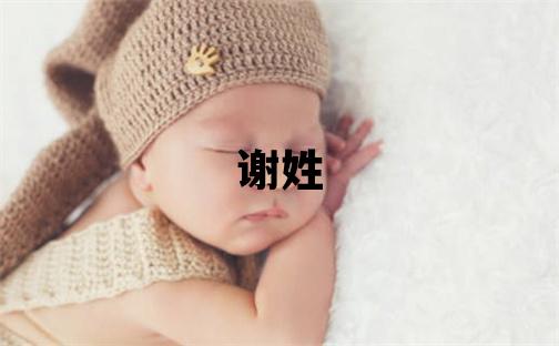 谢姓有创意的男孩名字,取什么名字好