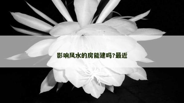 影响风水的房能建吗?最近