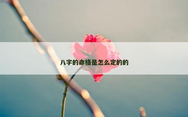 八字的命格是怎么定的的