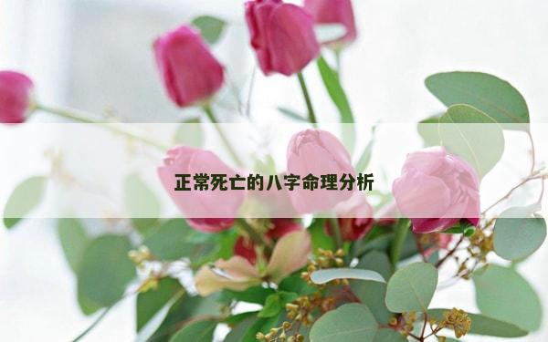 正常死亡的八字命理分析