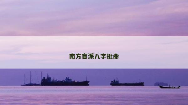 南方盲派八字批命