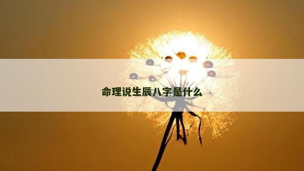 命理说生辰八字是什么
