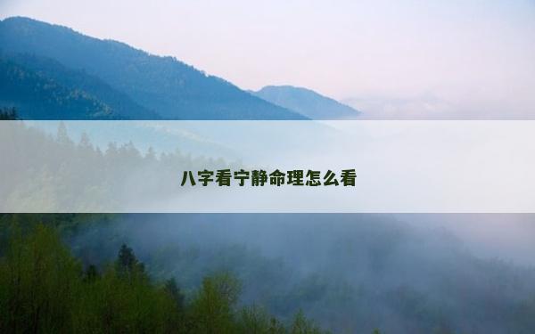 八字看宁静命理怎么看