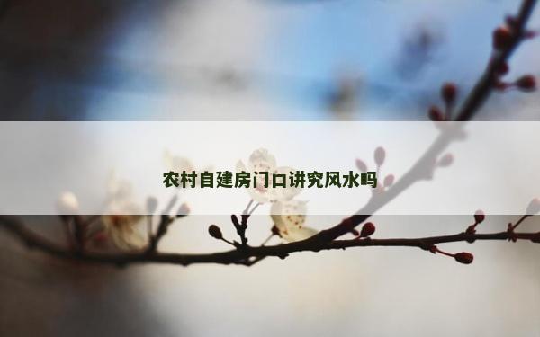 农村自建房门口讲究风水吗