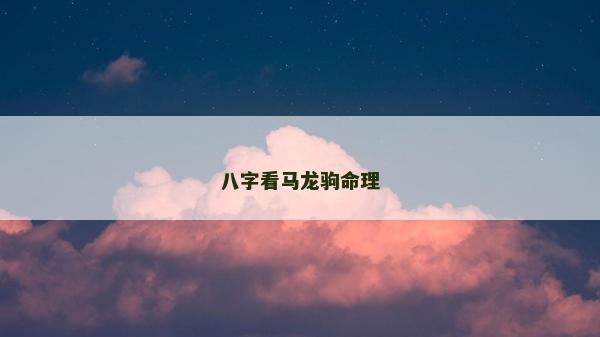 八字看马龙驹命理