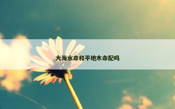 大海水命和平地木命配吗