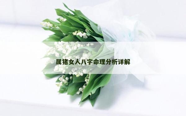 属猪女人八字命理分析详解