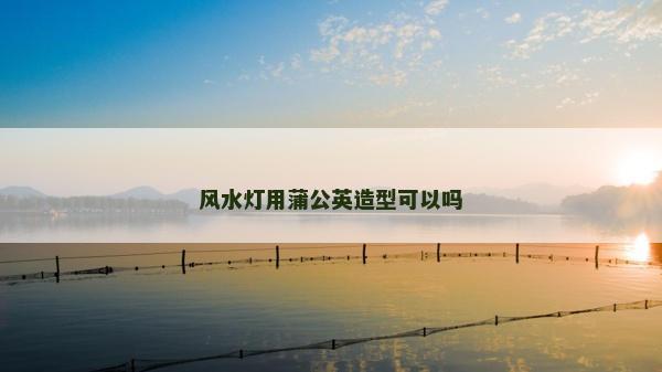 风水灯用蒲公英造型可以吗