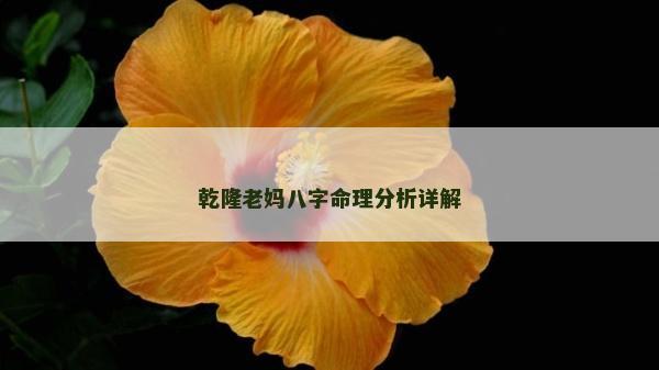 乾隆老妈八字命理分析详解