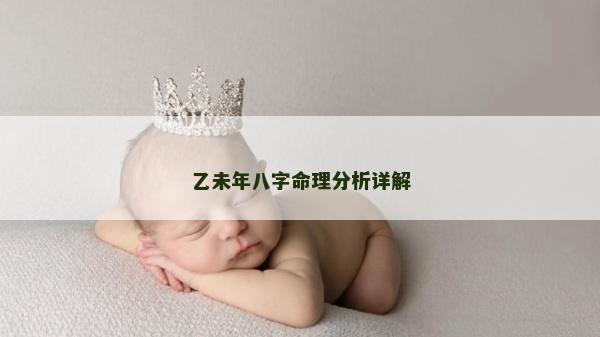 乙未年八字命理分析详解