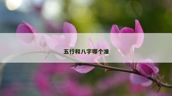 五行和八字哪个准