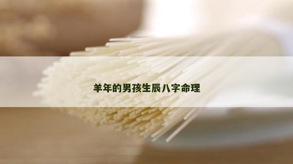 羊年的男孩生辰八字命理