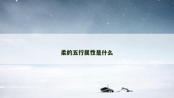 柔的五行属性是什么