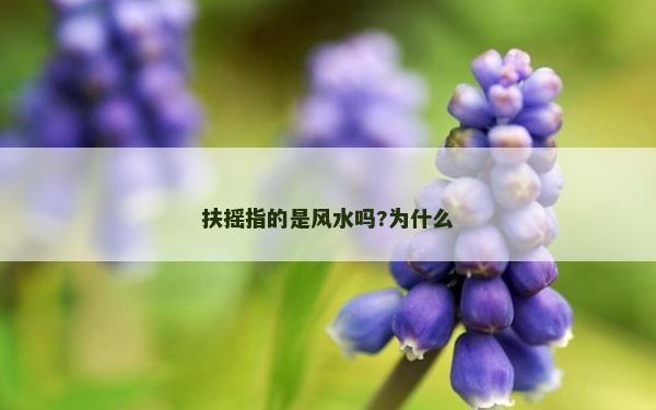 扶摇指的是风水吗?为什么