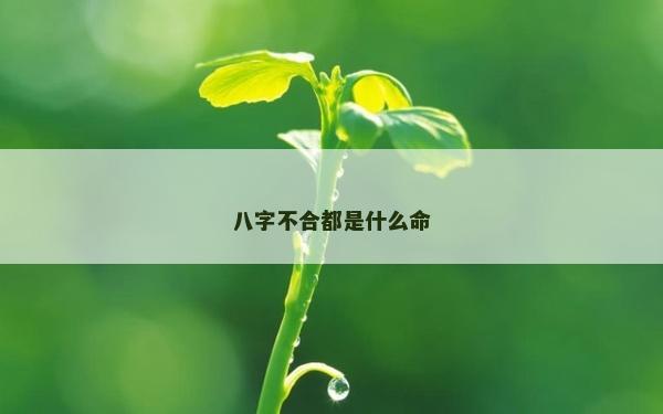 八字不合都是什么命