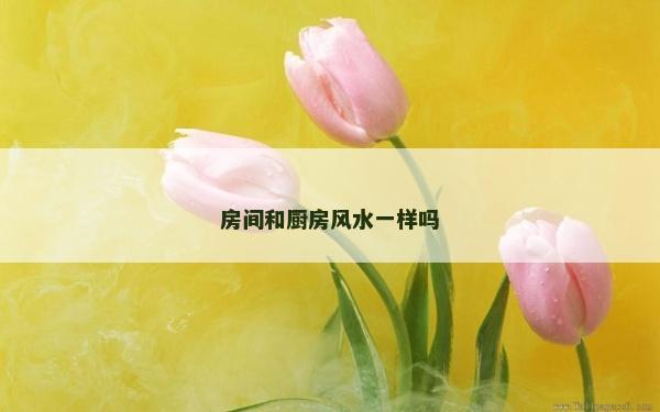房间和厨房风水一样吗