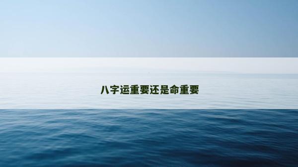 八字运重要还是命重要