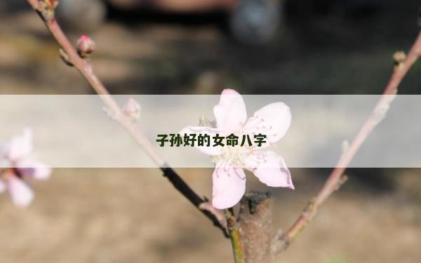 子孙好的女命八字