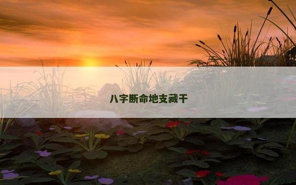 八字断命地支藏干