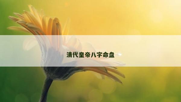 清代皇帝八字命盘