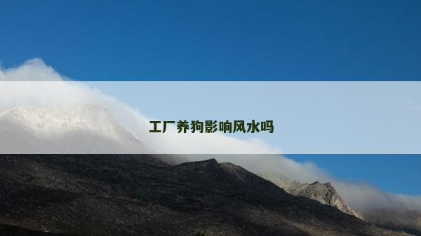 工厂养狗影响风水吗