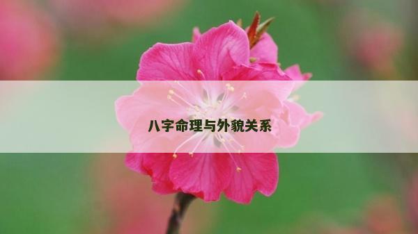 八字命理与外貌关系
