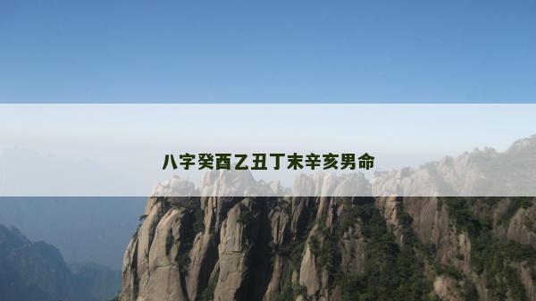 八字癸酉乙丑丁末辛亥男命