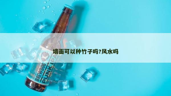 墙面可以种竹子吗?风水吗