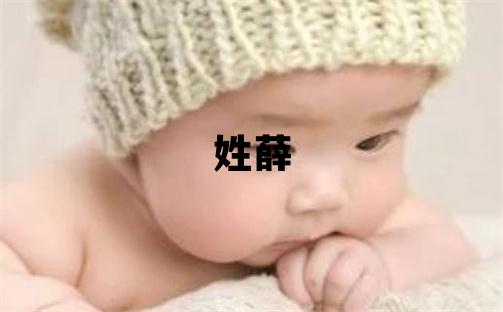 姓薛叫什么名字好 姓薛的男孩有灵气的名字