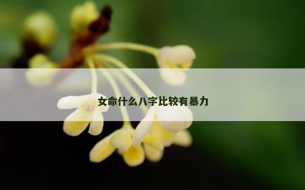 女命什么八字比较有暴力