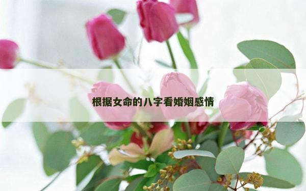 根据女命的八字看婚姻感情