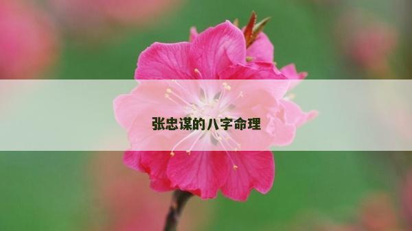 张忠谋的八字命理