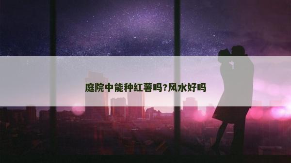 庭院中能种红薯吗?风水好吗
