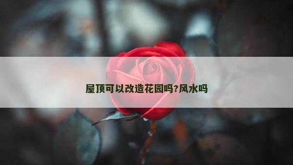 屋顶可以改造花园吗?风水吗