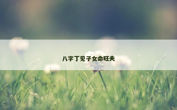 八字丁见子女命旺夫