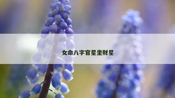 女命八字官星坐财星
