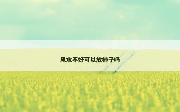 风水不好可以放柿子吗