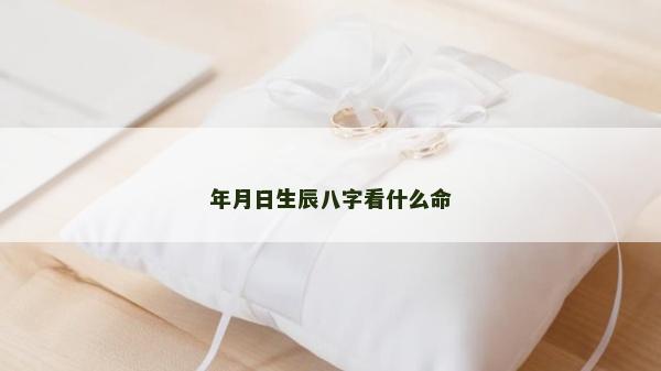 年月日生辰八字看什么命