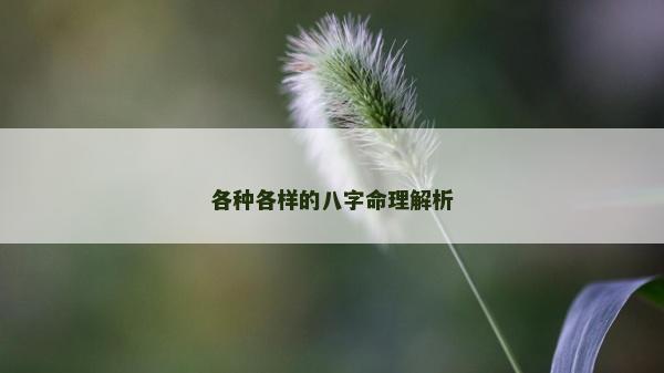 各种各样的八字命理解析
