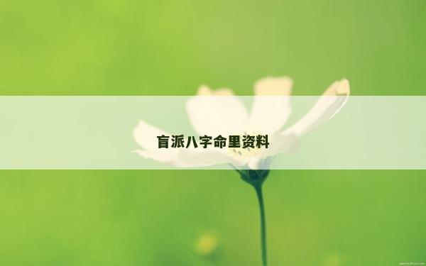 盲派八字命里资料