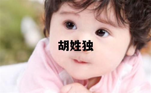 胡姓独特优美的男孩名字,取什么名字好