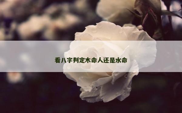 看八字判定木命人还是水命