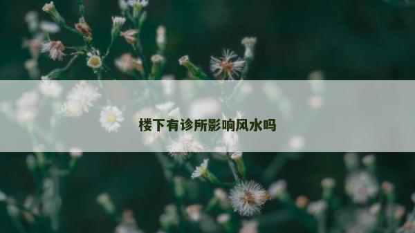 楼下有诊所影响风水吗