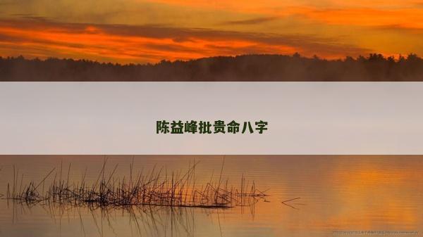 陈益峰批贵命八字