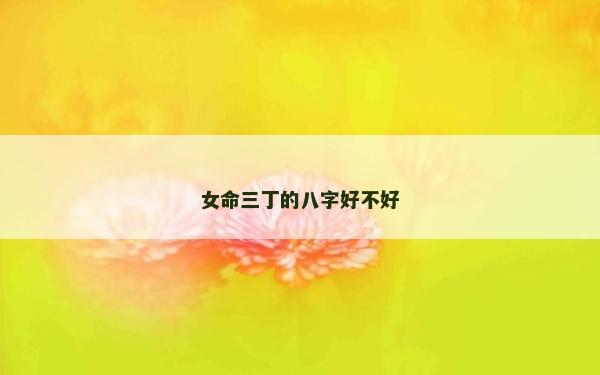 女命三丁的八字好不好