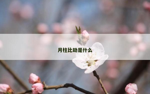 月柱比劫是什么