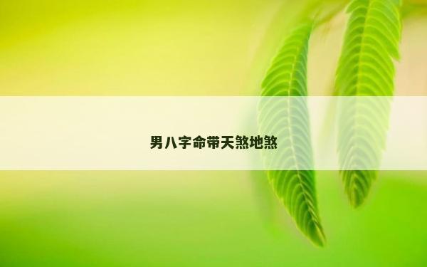 男八字命带天煞地煞