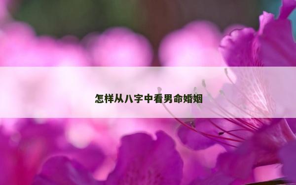 怎样从八字中看男命婚姻