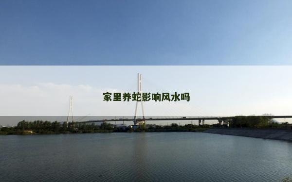 家里养蛇影响风水吗
